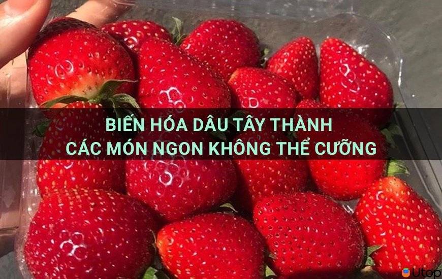 Biến hóa dâu tây thành các món ngon không thể cưỡng | Tin Tức | UTOP.VN