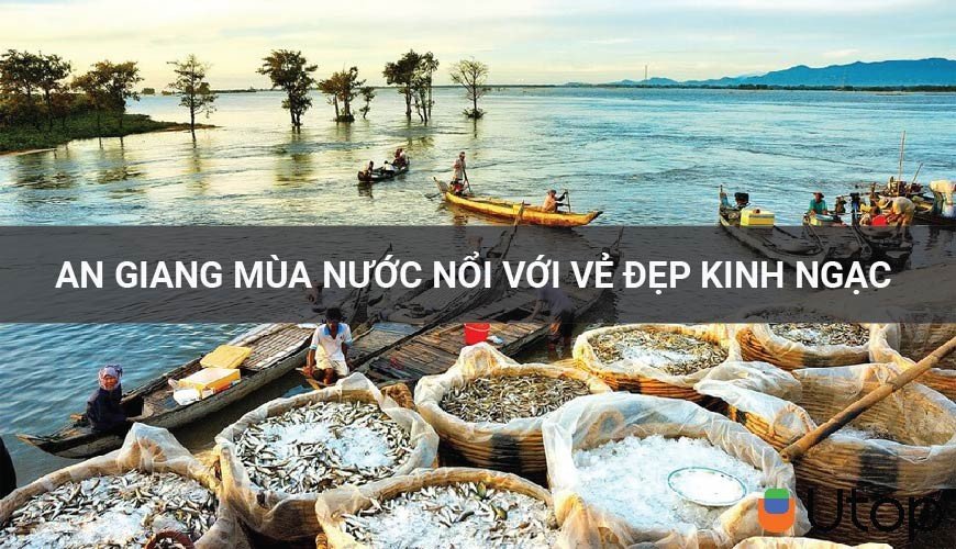 An Giang mùa nước nổi với vẻ đẹp kinh ngạc mà bạn nên ghé một lần | Tin Tức | UTOP.VN