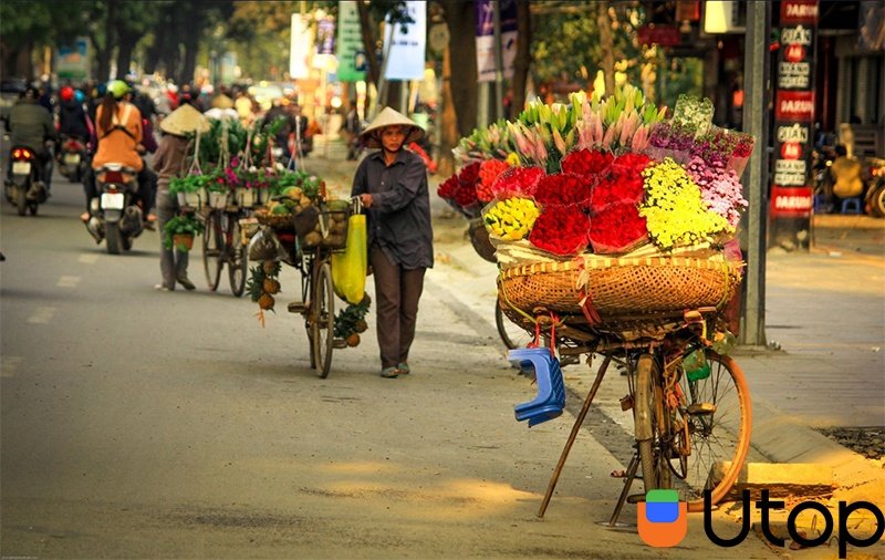 địa điểm check in hà nội - Mùa thu Hà Nội tuyệt đẹp và top 5 địa điểm check in mà bạn ...