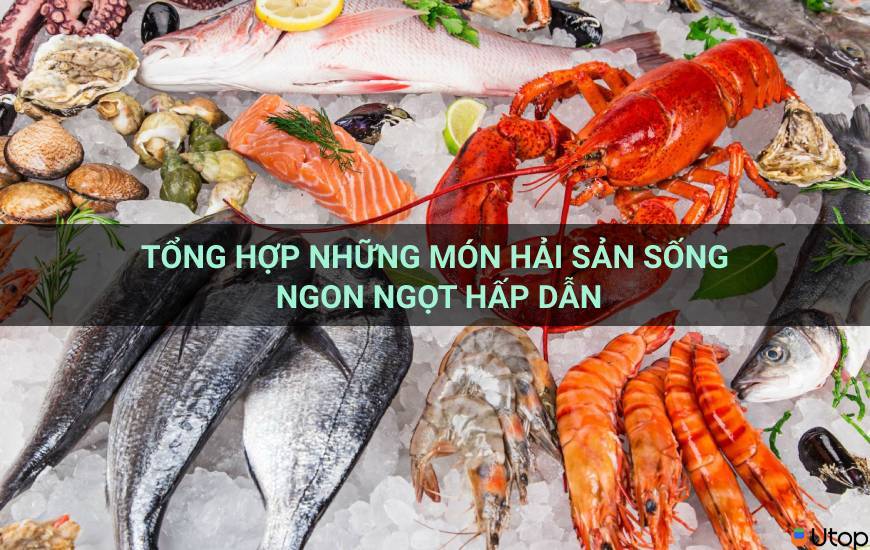 Tổng hợp những món hải sản sống ngon ngọt hấp dẫn | Tin Tức | UTOP.VN