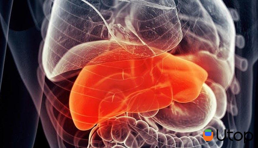 Nó dẫn đến ung thư gan và thận