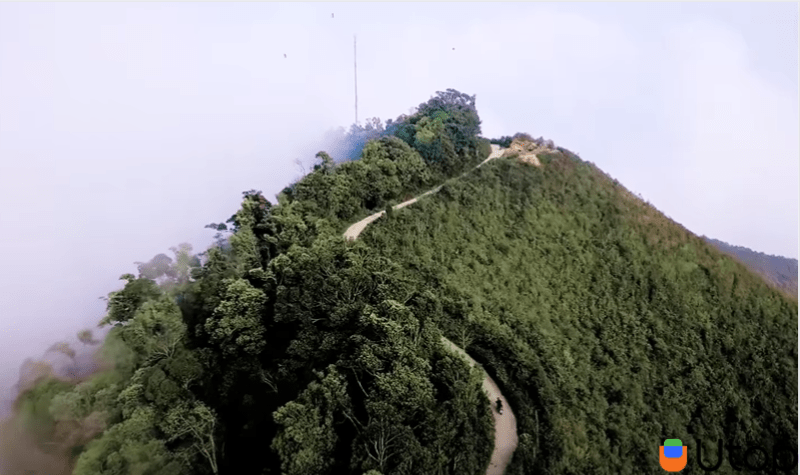 Vẻ đẹp hoang sơ nhưng khác thường do thiên nhiên ban tặng