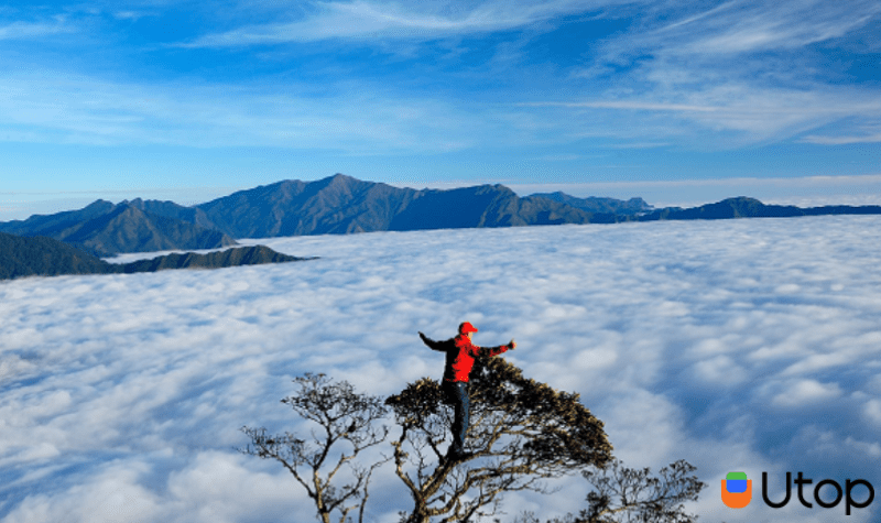 Kinh nghiệm săn mây thành công ở Tà Xùa-Sơn La