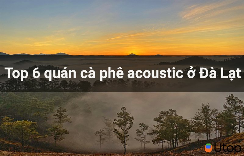Top 6 quán cà phê acoustic Đà Lạt dành cho bạn yêu sự bình yên
