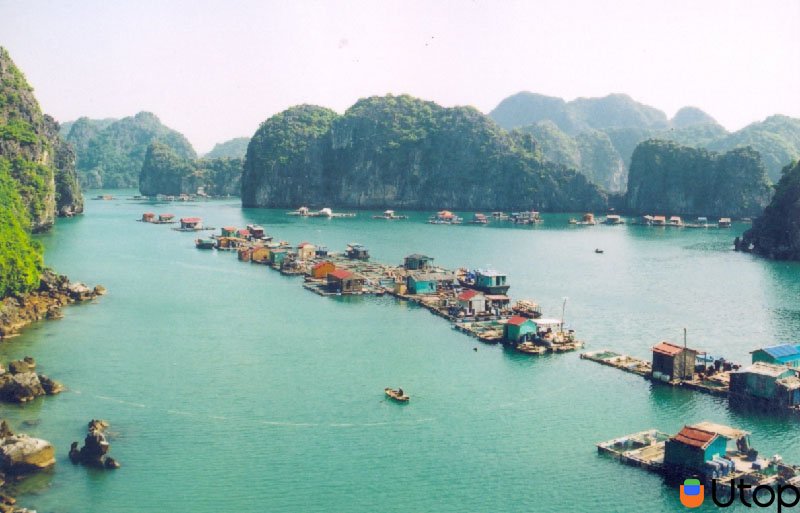 Làng Chài Cửa Vạn - Hạ Long