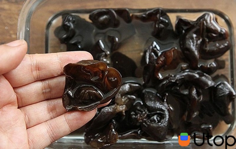 vật liệu chế biến