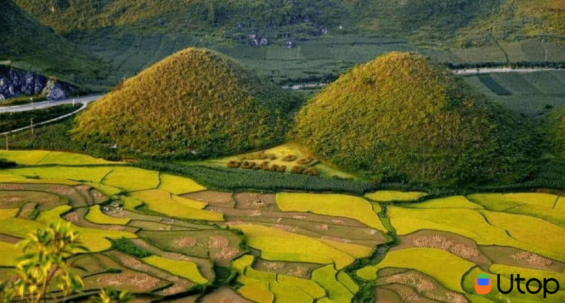 gọi Ba