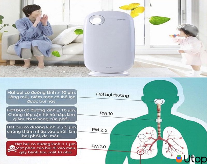 Lọc bụi, loại bỏ khói và các chất ô nhiễm có hại cho đường hô hấp