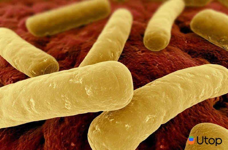 Vi khuẩn chết người có thể được chứa trong thực phẩm đóng hộp