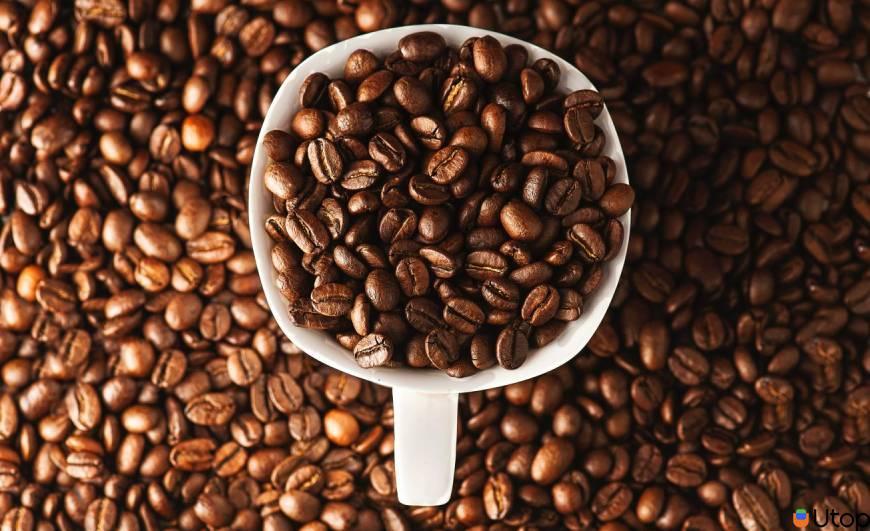 Hàm lượng caffein có trong hạt cà phê Robusta