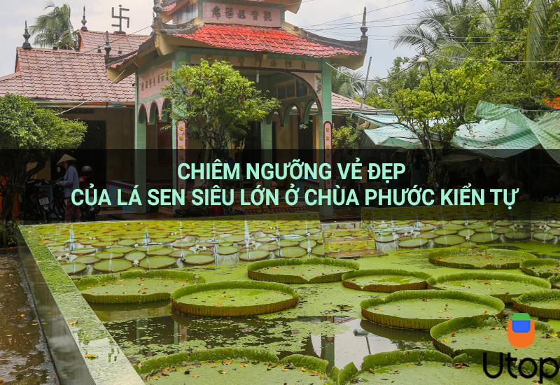Chiêm ngưỡng vẻ đẹp lá sen siêu lớn ở chùa Phước Kiển