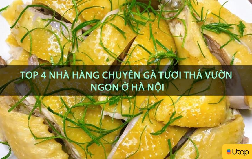4 nhà hàng chuyên gà tươi thả vườn ngon nhất Hà Nội
