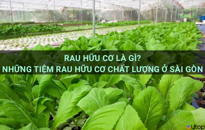 Rau hữu cơ là gì?  Cửa hàng rau hữu cơ chất lượng tại Sài Gòn