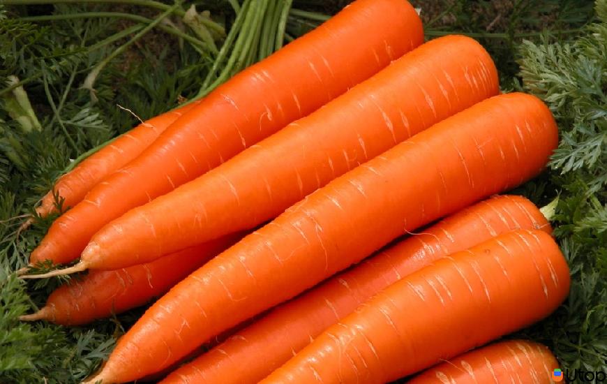 Nước ép cà rốt bổ sung dưỡng chất cho da