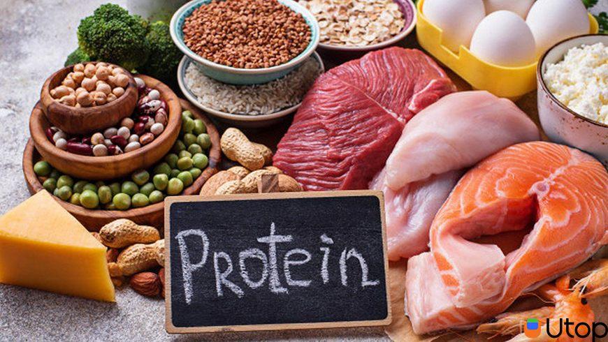     Không cung cấp đủ protein cho cơ thể