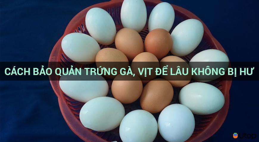 Làm sao để bảo quản trứng gà, vịt lâu mà không hư?