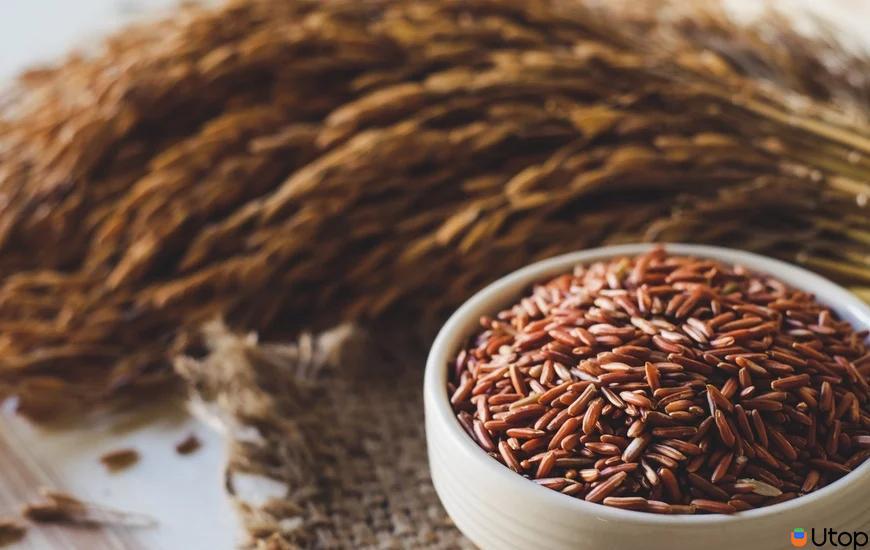 Gạo lứt được nhiều người yêu thích