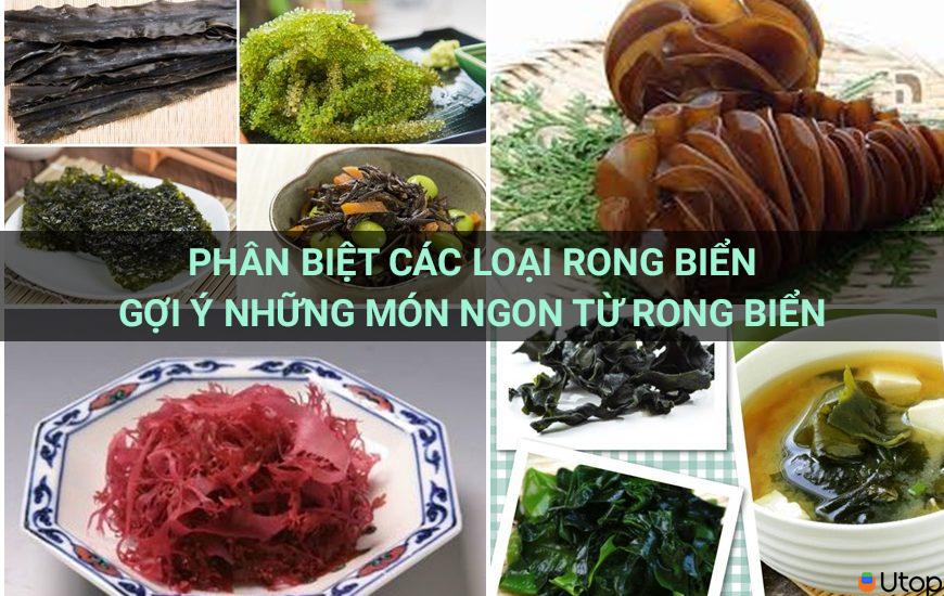 Phân biệt các loại rong biển.  Gợi ý các món ngon từ rong biển