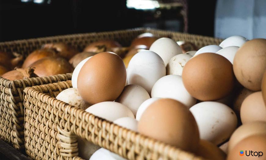 Làm sao để bảo quản trứng gà, vịt lâu mà không hư?