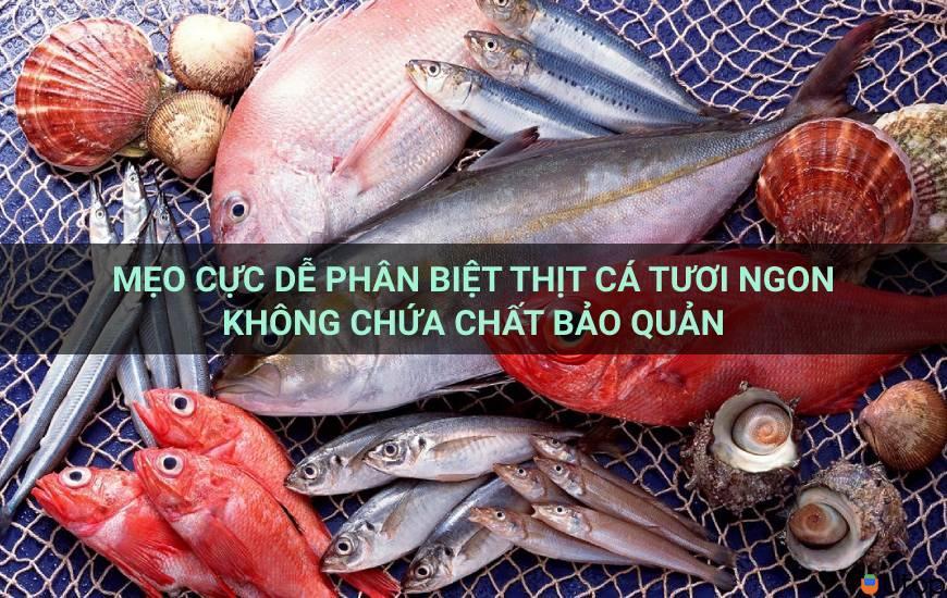 Mẹo cực đơn giản để phân biệt thịt cá tươi không chất bảo quản