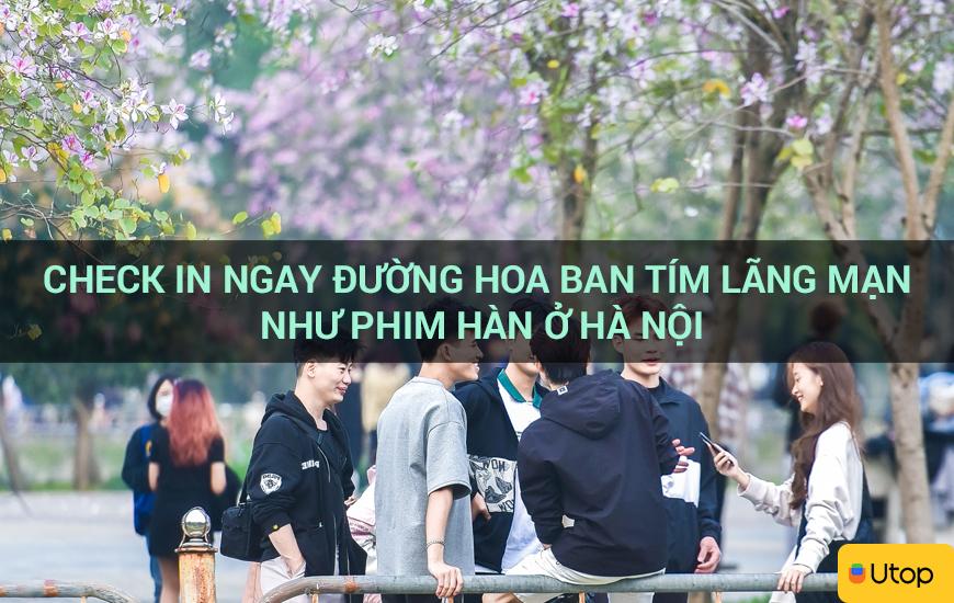 Lạc ngay vào con đường hoa tím lãng mạn như phim Hàn tại Hà Nội