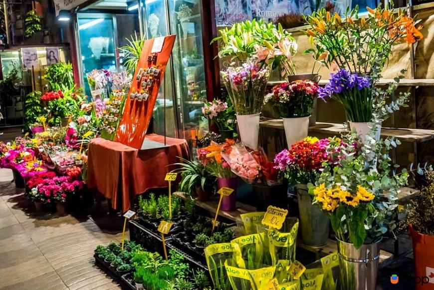 Tải Cakhia TV để mua hoa giá rẻ tại Love Flower, Flowerstore.vn