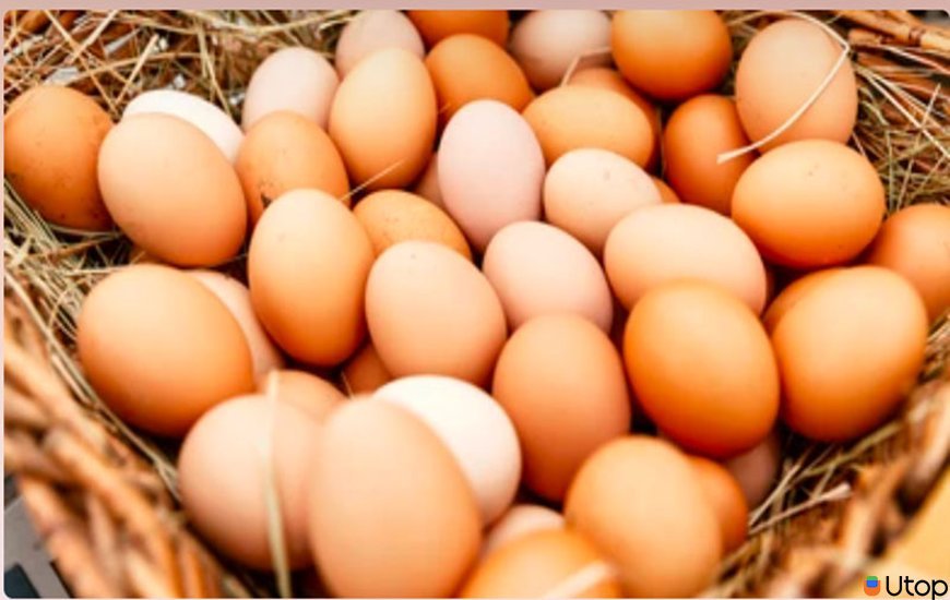     Hạn chế ăn trứng và các món ăn từ trứng