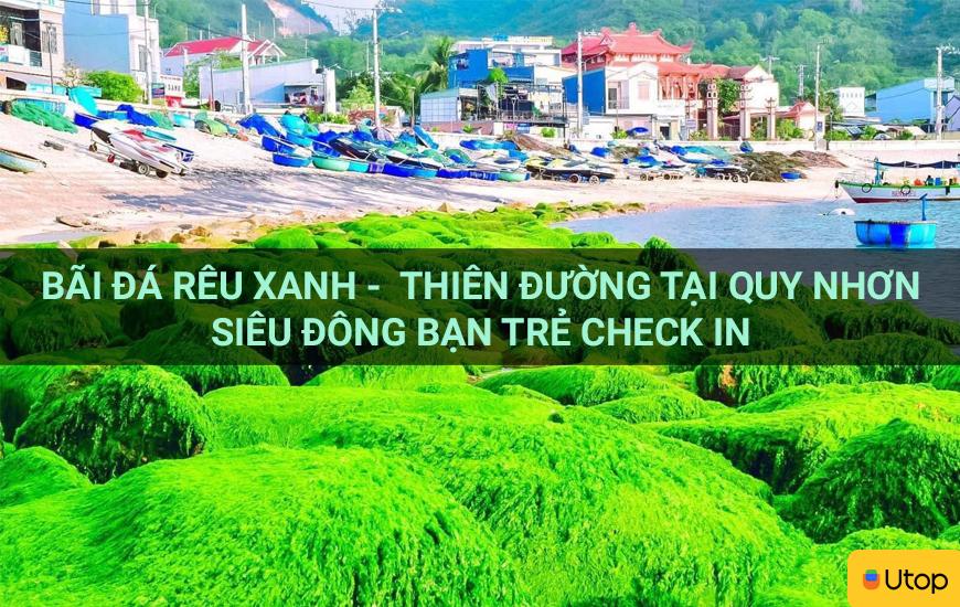Bãi đá xanh rêu - Thiên đường ở Quy Nhơn siêu đông bạn trẻ đăng ký 