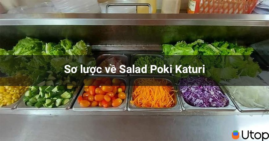 Toàn cảnh Poki Katuri Salad - nhà hàng dành cho những tín đồ ăn uống lành mạnh