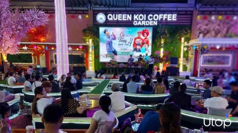 Vườn cà phê Queen Koi