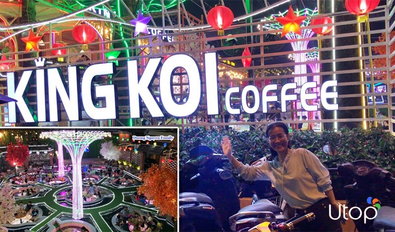 Vườn cà phê King Koi