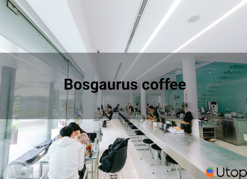 3. Bosgaurus Coffee - 92 Nguyễn Hữu Cảnh, Q. Bình Thạnh