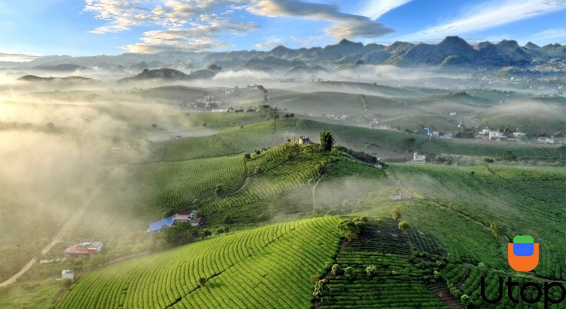 Mộc Châu Sơn La – xứ sở của những nơi đẹp nhất Việt Nam