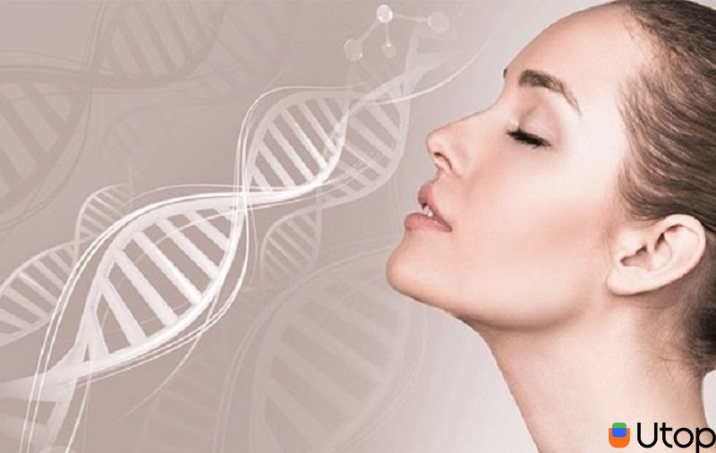 Collagen dạng nước là gì?  Tại sao phải sử dụng collagen?