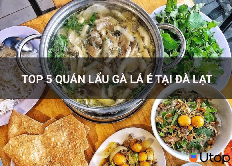 Top 5 Nhà Hàng Gà Lát Siêu Ngon Không Thể Bỏ Qua Khi Đến Đà Lạt