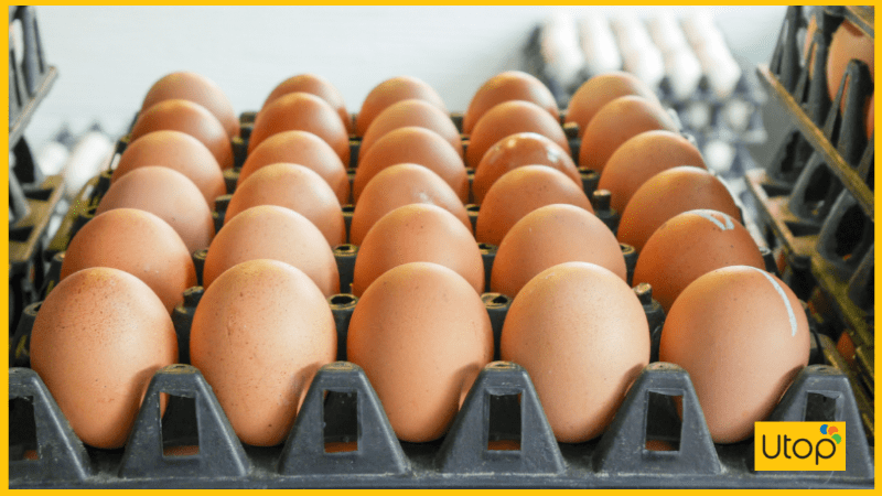 3 Cách làm trứng gà nướng tại nhà không bị trào ngon khó cưỡng
