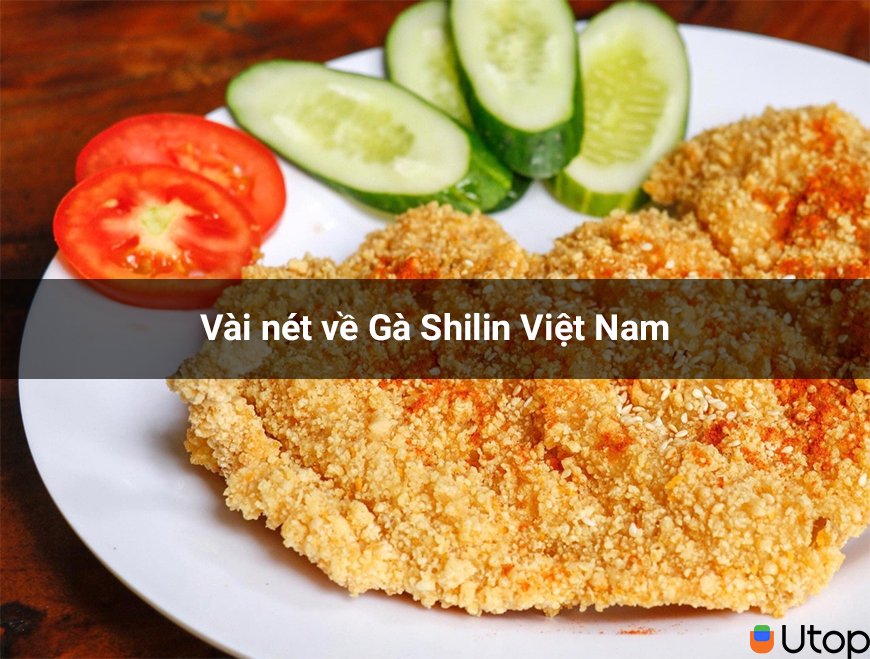 Giới Thiệu Gà Shilin Việt Nam
