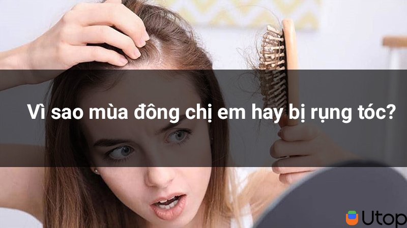 Tại sao phụ nữ bị rụng tóc vào mùa đông?  Cách làm tóc chắc khỏe